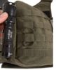7764.331 OLIVE (3)