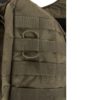 7764.331 OLIVE (4)